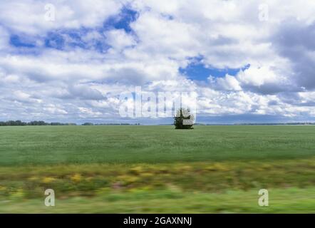 Blick vom fahrenden Auto auf landwirtschaftlichen Fileds in Bewegung und wunderschöne Wolkenlandschaft in Russland Stockfoto