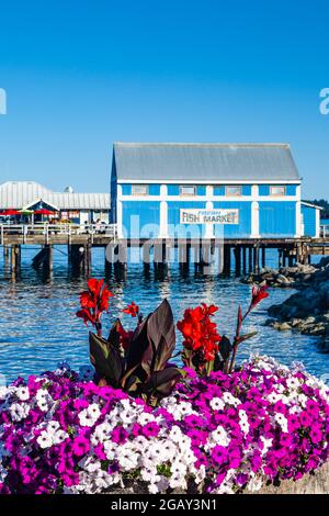 Heritage Fish Market-Gebäude an der Küste von Sidney in British Columbia, Kanada Stockfoto