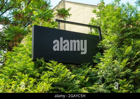 Leeres Firmenzeichen, umgeben von Bäumen für Logo-Branding-Modell Stockfoto