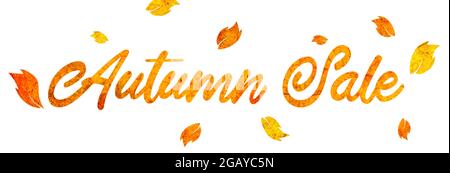 Herbstverkauf Zeichen aus Herbstblättern auf weißem Hintergrund Stockfoto