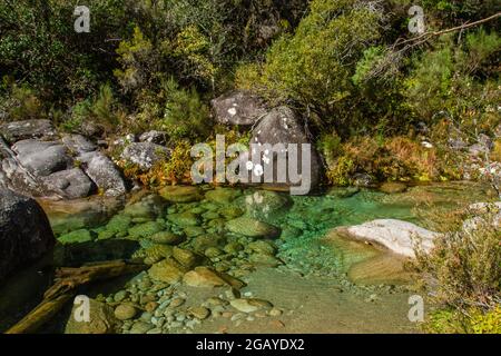 Homem Fluss durch den Wald Mata da Albergaria, Nationalpark Peneda Geres, Portugal Stockfoto