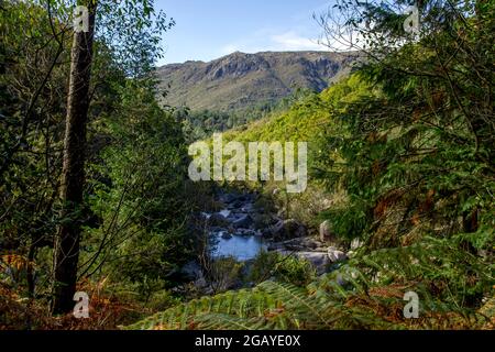 Tal des Flusses Homem im Nationalpark Peneda Geres, Portugal Stockfoto