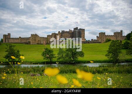 Alnwick Castle, Northumberland, Juni 2021 Stockfoto