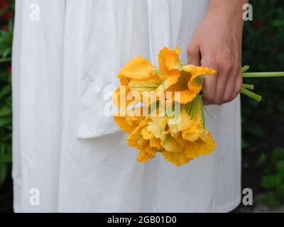 Eine Frau, die Kürbisblumen in der Hand hält. Nahaufnahme. Stockfoto