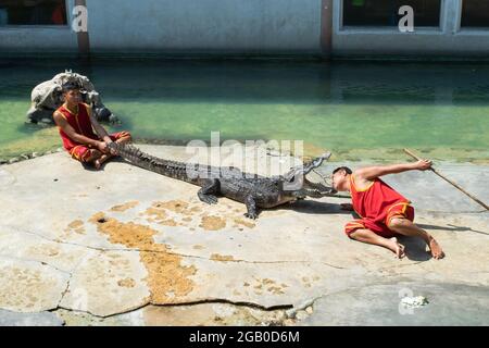 SAMUTPRAKARN, THAILAND - 29. Januar 2017: Krokodilshow der Mann steckte auf der Krokodilfarm seinen Kopf in den Mund des Krokodils Stockfoto