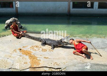 SAMUTPRAKARN, THAILAND - 29. Januar 2017: Krokodilshow der Mann steckte auf der Krokodilfarm seinen Kopf in den Mund des Krokodils Stockfoto