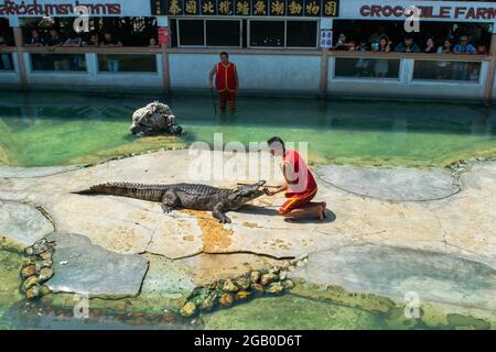 SAMUTPRAKARN, THAILAND - 29. Januar 2017: Krokodilshow der Mann steckte auf der Krokodilfarm seinen Kopf in den Mund des Krokodils Stockfoto