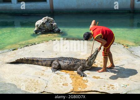 SAMUTPRAKARN, THAILAND - 29. Januar 2017: Krokodilshow der Mann steckte auf der Krokodilfarm seinen Kopf in den Mund des Krokodils Stockfoto