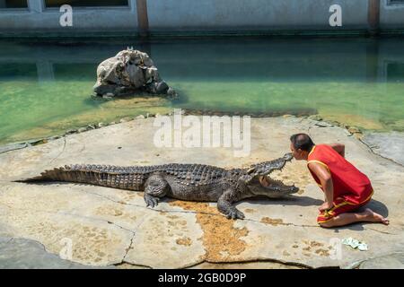 SAMUTPRAKARN, THAILAND - 29. Januar 2017: Krokodilshow der Mann steckte auf der Krokodilfarm seinen Kopf in den Mund des Krokodils Stockfoto