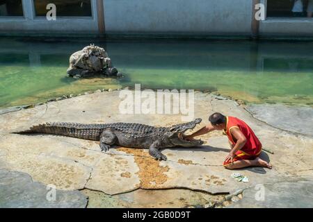 SAMUTPRAKARN, THAILAND - 29. Januar 2017: Krokodilshow der Mann steckte auf der Krokodilfarm seinen Kopf in den Mund des Krokodils Stockfoto