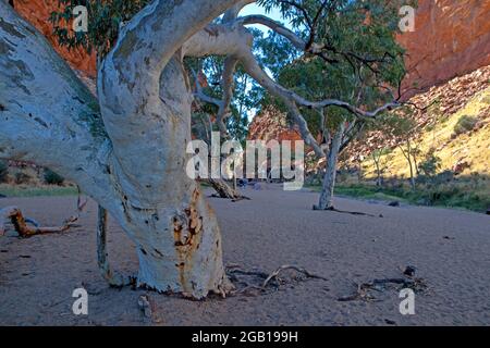 Simpsons Gap, Tjoritja/West MacDonnell National Park Stockfoto