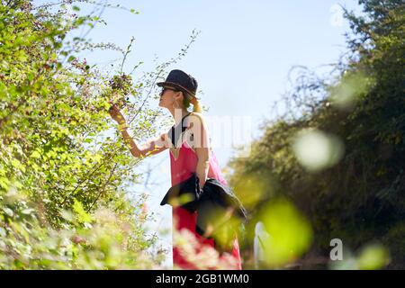 asiatische Frau riecht nach wilden Beeren, während sie in der Natur spazieren geht Stockfoto