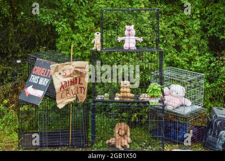 Huntingdon, Großbritannien. August 2021. Käfige mit Plüschtierspielzeug werden während der MBR Acres-Proteste in Huntingdon, Cambridgeshire, gesehen. Tierschutzaktivisten versammelten sich vor dem Beagle-Brutplatz von MBR Acres, um die Freilassung von 2000 Beagles zu fordern, von denen die Demonstranten behaupten, dass sie für grausame Experimente aufgezogen werden. Dutzende von Aktivisten haben auch außerhalb des Geländes ein langfristiges Camping eingerichtet, um das Unternehmen unter Druck zu setzen, die Hunde freizulassen und die Anlagen zu schließen. Kredit: SOPA Images Limited/Alamy Live Nachrichten Stockfoto