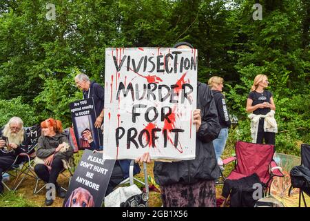 Huntingdon, Großbritannien. August 2021. Ein Demonstrator hält während der MBR Acres-Proteste in Huntingdon, Cambridgeshire, ein Anti-Vivisektionsplakat. Tierschutzaktivisten versammelten sich vor dem Beagle-Brutplatz von MBR Acres, um die Freilassung von 2000 Beagles zu fordern, von denen die Demonstranten behaupten, dass sie für grausame Experimente aufgezogen werden. Dutzende von Aktivisten haben auch außerhalb des Geländes ein langfristiges Camping eingerichtet, um das Unternehmen unter Druck zu setzen, die Hunde freizulassen und die Anlagen zu schließen. Kredit: SOPA Images Limited/Alamy Live Nachrichten Stockfoto