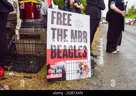 Huntingdon, Großbritannien. August 2021. Ein Plakat mit dem Titel „Free the MBR Beagles“ ist während des MBR Acres-Protests in Huntingdon, Cambridgeshire, zu sehen. Tierschutzaktivisten versammelten sich vor dem Beagle-Brutplatz von MBR Acres, um die Freilassung von 2000 Beagles zu fordern, von denen die Demonstranten behaupten, dass sie für grausame Experimente aufgezogen werden. Dutzende von Aktivisten haben auch außerhalb des Geländes ein langfristiges Camping eingerichtet, um das Unternehmen unter Druck zu setzen, die Hunde freizulassen und die Anlagen zu schließen. (Foto: Vuk Valcic/SOPA Images/Sipa USA) Quelle: SIPA USA/Alamy Live News Stockfoto