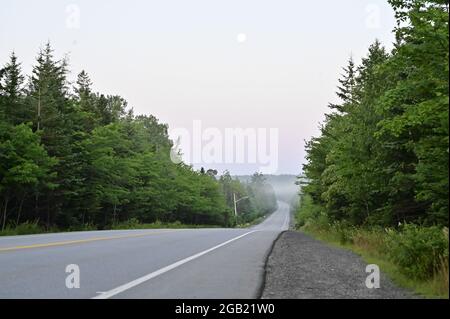 Leere Straße in nebligen Bergtag zwischen Bäumen und Wald balkan Berg Stockfoto