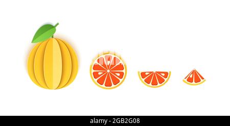 Set Grapefruit in Scheiben geschnittenes Papier Zitrusfrüchte in Scheiben geschnitten ganze, dreieckige und runde Scheiben, Design für jeden Zweck. Sommer Zitrusfrüchte, saftiges Essen. Vektor 3d Stock Vektor