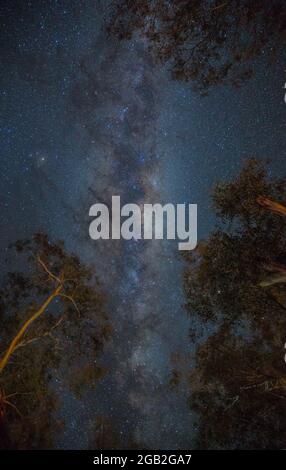 Milky Way , Warrumbungles Dark Sky Reserve zentralen Westen NSW Australien Stockfoto