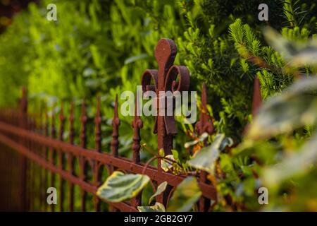 Metallzaun aus Gusseisen in einer geraden Linie mit schönen Details und ruht zwischen dem grünen Laub, Stockfoto