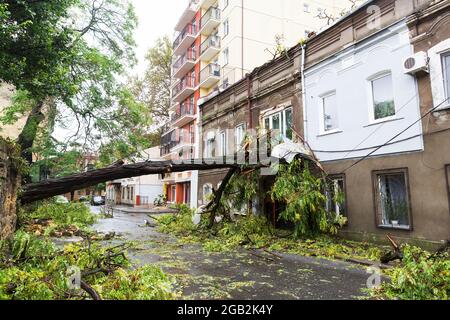 Hurrikan CHRISTIE. Starker Regen und Sturm - Windböen verursachten einen Unfall - alter Baum fiel während des Sturms auf das Auto und zerstörte das Haus. Starker Sturm wi Stockfoto