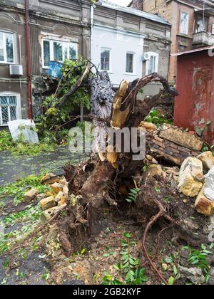 Hurrikan CHRISTIE. Starker Regen und Sturm - Windböen verursachten einen Unfall - alter Baum fiel während des Sturms auf das Auto und zerstörte das Haus. Starker Sturm wi Stockfoto