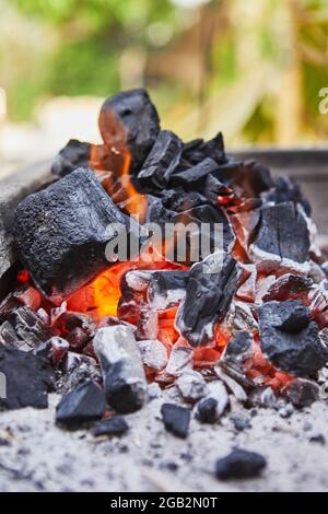 Beleuchtung Kohlen im Grill. Grillparty Stockfoto
