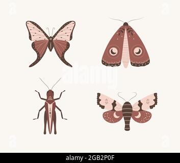 Insekten im böhmischen Stil. Abstrakt handgezeichnete Motte, Schmetterling und Heuschrecke mit Mond und Sternen. Satz esoterischer Alchemie-Symbole. Vintage-Vektor Stock Vektor