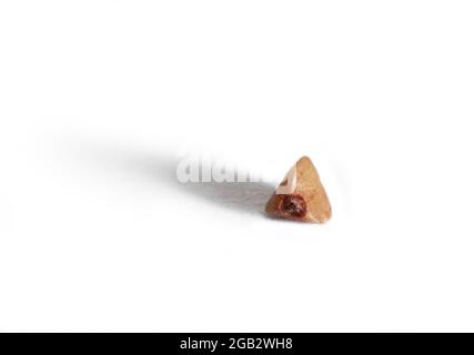 Ein Buchweizenkorn isoliert auf weißem Hintergrund mit einem Schatten. Stockfoto