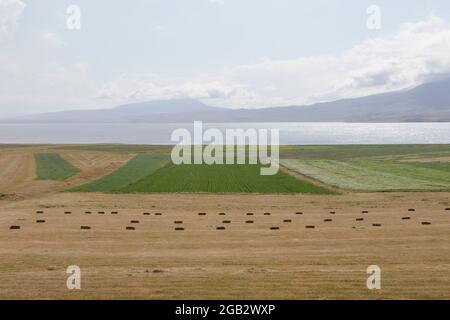 Haystacks und Brötchen, Landwirtschaft in Georgien, trockenes Heu und Berglandschaft mit Faravani See Stockfoto