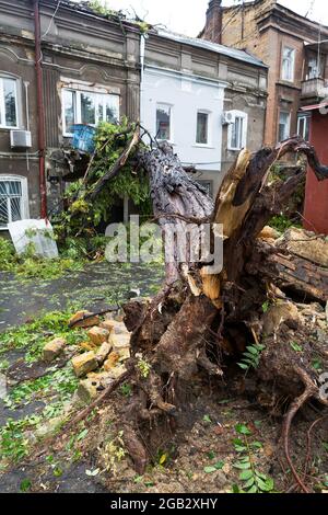 Hurrikan CHRISTIE. Starker Regen und Sturm - Windböen verursachten einen Unfall - alter Baum fiel während des Sturms auf das Auto und zerstörte das Haus. Starker Sturm wi Stockfoto