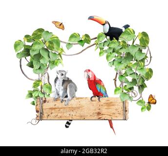 Ringtailed Lemur, Tukan, Ara Papagei und alte Holzbrett. Dschungelholzschild mit Lianenzweigen und Tieren. Isoliert auf weißem Hintergrund. Modell Stockfoto