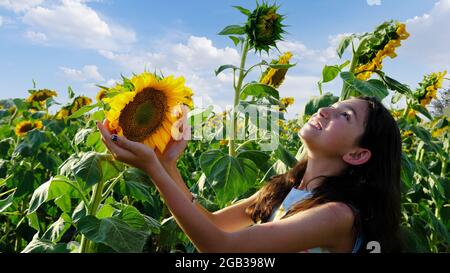 Ein schönes Mädchen grüßt die Sonnenblume und die Sonne. Stockfoto