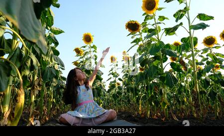 Ein schönes Mädchen praktiziert Meditation in einem Feld von Sonnenblumen. Stockfoto