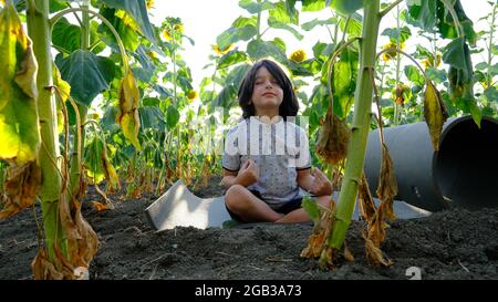 Ein schöner Junge praktiziert Meditation in einem Feld von Sonnenblumen. Stockfoto