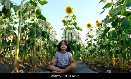 Ein schöner Junge praktiziert Meditation in einem Feld von Sonnenblumen. Stockfoto