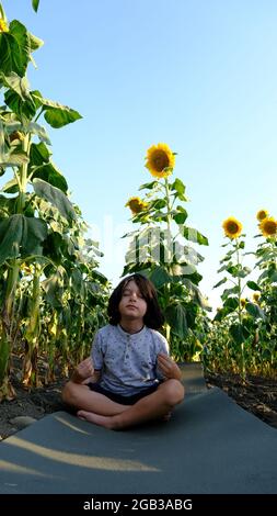 Ein schöner Junge praktiziert Meditation in einem Feld von Sonnenblumen. Stockfoto