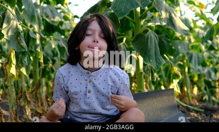 Ein schöner Junge praktiziert Meditation in einem Feld von Sonnenblumen. Stockfoto