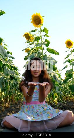 Ein schönes Mädchen praktiziert Meditation in einem Feld von Sonnenblumen. Stockfoto