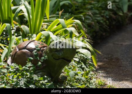 Lächelnde Schildkröte zwischen grünen Pflanzen in einem Minigolfplatz aus einem Vergnügungspark im Urlaub Stockfoto