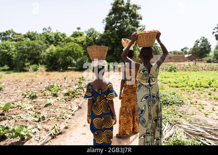 In diesem Bild sind eine Gruppe wunderschön gekleideter afrikanischer Mädchen mit Körben voller Tomaten auf dem Kopf auf dem Weg zum Straßenmarkt einer Ne Stockfoto