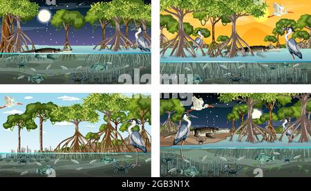 Verschiedene Mangrovenwaldlandschaftsszenen mit verschiedenen Tieren Illustration Stock Vektor
