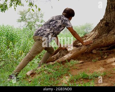 Stadtjunge schiebt sich um Holzbaumwurzeln Boden Grasfeld. Stockfoto