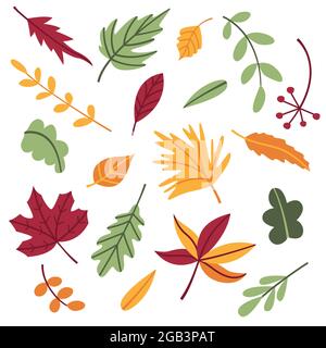 Set aus Herbstblättern und Zweigen im Cartoon-Stil mit flachem Doodle. Blatt aus Ahorn, Eiche und verschiedenen Bäumen. Objekte, Elemente, Cliparts, Elemente für das Design Stock Vektor