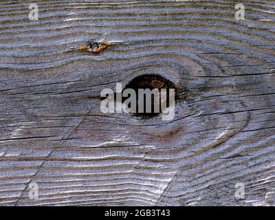 Gewelltes, genarbtes Holzmuster mit Knoten in hellem, sonnendurchfluteten Zaun Stockfoto