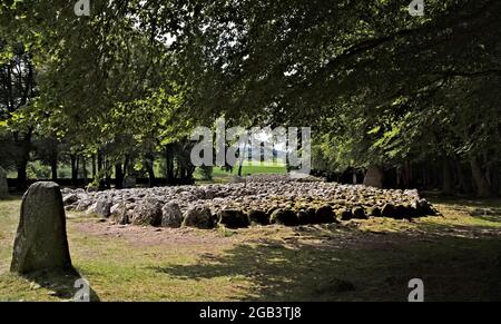 Clava Cairns Ring Cairn Stockfoto