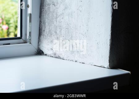 Schimmel und Fäulnis an der Ecke des Kunststoff-Fensterrahmens und der Zementwand Stockfoto