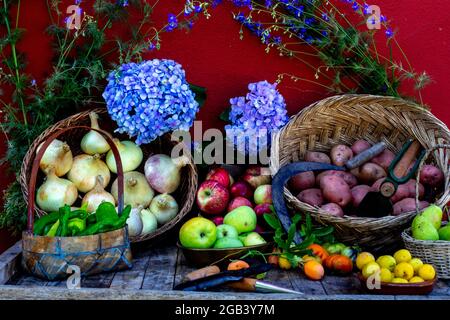 Frisch gepflücktes Obst und Gemüse in Körbe mit Werkzeugen für die Ernte gelegt Stockfoto