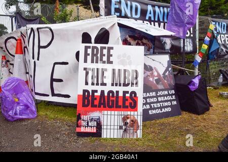 Huntingdon, Großbritannien. August 2021. Tierschutzaktivisten versammelten sich vor dem Beagle-Brutplatz von MBR Acres, um die Freilassung von 2000 Beagles zu fordern, von denen die Demonstranten behaupten, dass sie für grausame Experimente aufgezogen werden. Dutzende von Aktivisten haben auch außerhalb des Geländes ein langfristiges Camping eingerichtet, um das Unternehmen unter Druck zu setzen, die Hunde freizulassen und die Anlagen zu schließen. Stockfoto