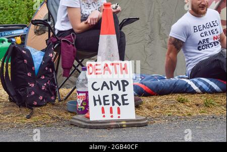 Huntingdon, Großbritannien. August 2021. Tierschutzaktivisten versammelten sich vor dem Beagle-Brutplatz von MBR Acres, um die Freilassung von 2000 Beagles zu fordern, von denen die Demonstranten behaupten, dass sie für grausame Experimente aufgezogen werden. Dutzende von Aktivisten haben auch außerhalb des Geländes ein langfristiges Camping eingerichtet, um das Unternehmen unter Druck zu setzen, die Hunde freizulassen und die Anlagen zu schließen. Stockfoto