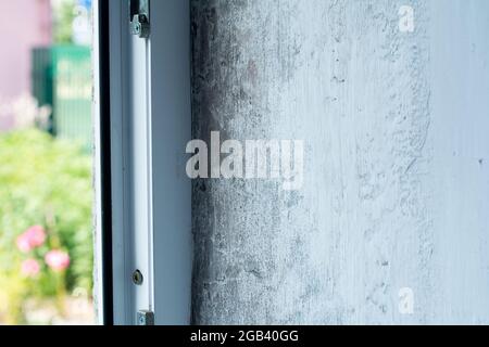 Schimmel und Fäulnis an der Fensterneigung. Haus muss repariert werden Stockfoto